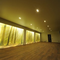 Menines šviesos lubos ir sienos 